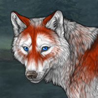 Wolf Headshot