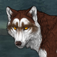 Wolf Headshot