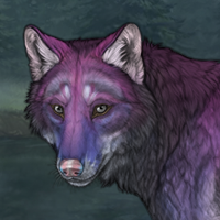 North Headshot