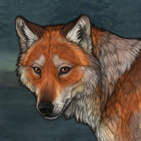 Breeder Fox 💖 Headshot