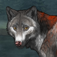 Wolf Headshot