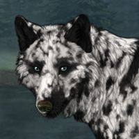 Dalmatian Speckles Headshot