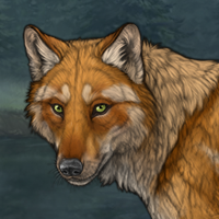 Zan Headshot
