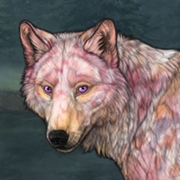Rusetti Headshot