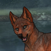 Enclave Pup Headshot