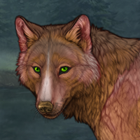 Firepelt Headshot