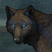 Vediiz Ruvaak Headshot