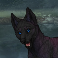 Shadowpup Headshot