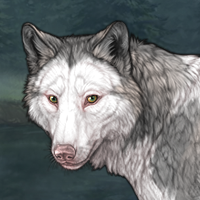 Piebald: frontal Headshot