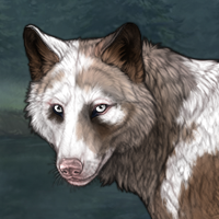 Piebald: Uneven Headshot