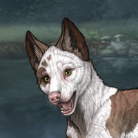 Piebald dip Headshot