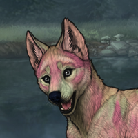 Pink + Green Puppy Headshot