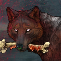 Wolf Headshot