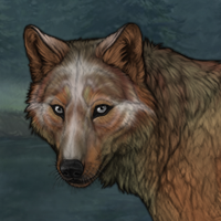 Willowbark Headshot