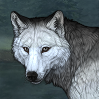 Wolf Headshot