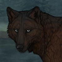 Selkie Headshot