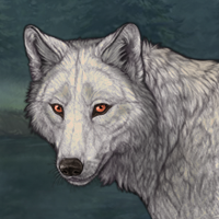 Iris Headshot