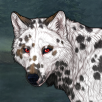 Dalmatian 6 Headshot