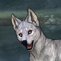 Husky Argent! Headshot