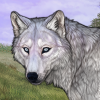 Husky Argent! Headshot