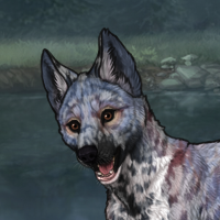 SpottedDiamond Headshot