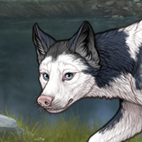 G3 piebald frontal Headshot