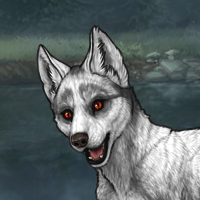 White fox eyes Headshot
