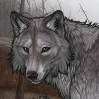 Greyback Headshot