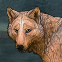~Forester-Male-Adult~ Headshot
