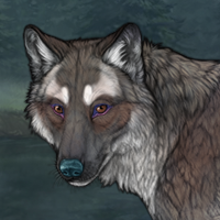 BearPelt Headshot