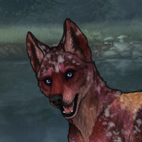 Amren Headshot