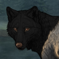 Wolf Headshot