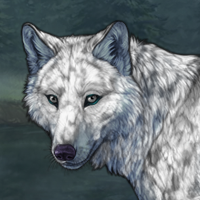 Marble Winterwolf Headshot