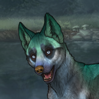 Achilles husky f Headshot