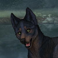 RNCR blueschist Headshot