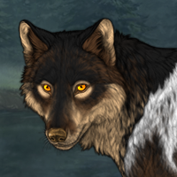 Wolf Headshot