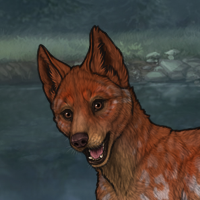 Enclave Pup Headshot