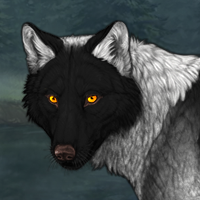 Wolf Headshot