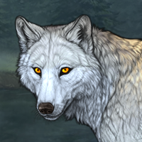 Wolf Headshot