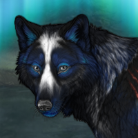 Wolf Headshot