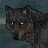 Lycan Headshot