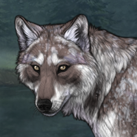 Muddied Snow Headshot