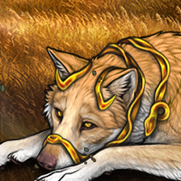 Wolf Headshot