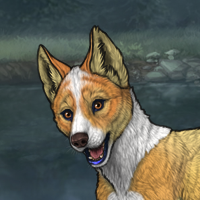 Kaeyuki Pup 1 Headshot