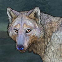 Loran Headshot