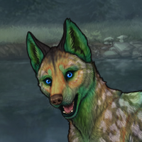 Colorbomb sc 5 Headshot
