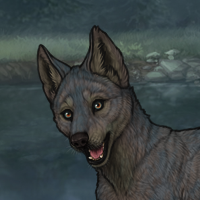 Pup - Nocturne Tier II Headshot