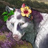 🦈🍀 Pacú Headshot