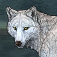 Wolf Headshot