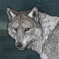 Silver Fang Headshot